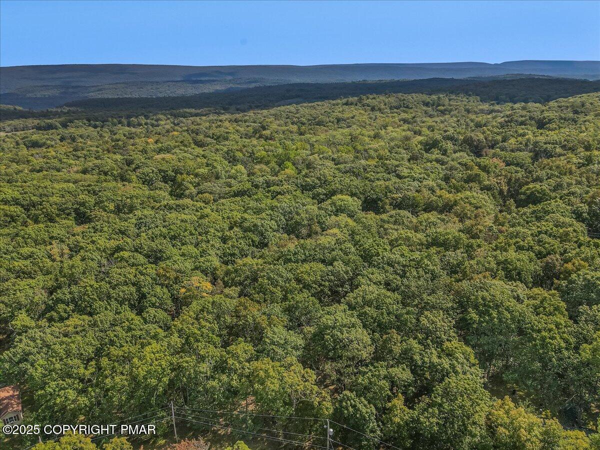 138 Badger Drive Bushkill, PA 18324 - Photo 39 of 44 48-Photo Sep 04 2025, 2 58 27 PM