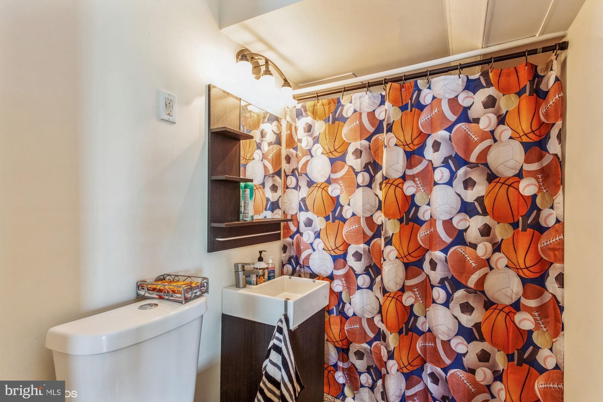 2425 Golupski Road Essex, MD 21221 - Photo 29 of 48 a bathroom with a sink a toilet and a shower curtain