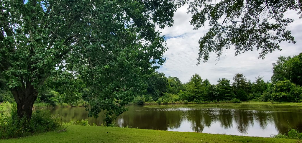337 Middleton Road Dothan, AL 36301 - Photo 5 of 29 Tree-lined fishing pond