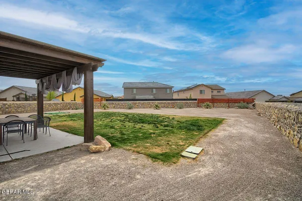 a view of a large body of water with a large tree