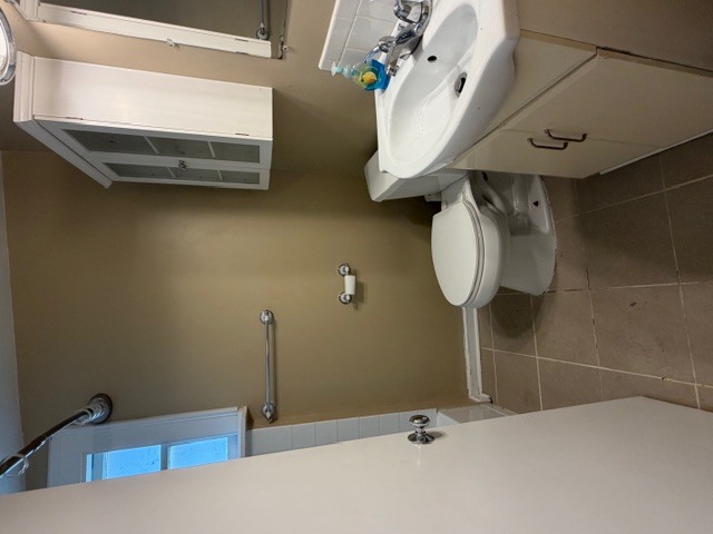 5938 Dunham Road Downers Grove, IL 60516 - Photo 12 of 15