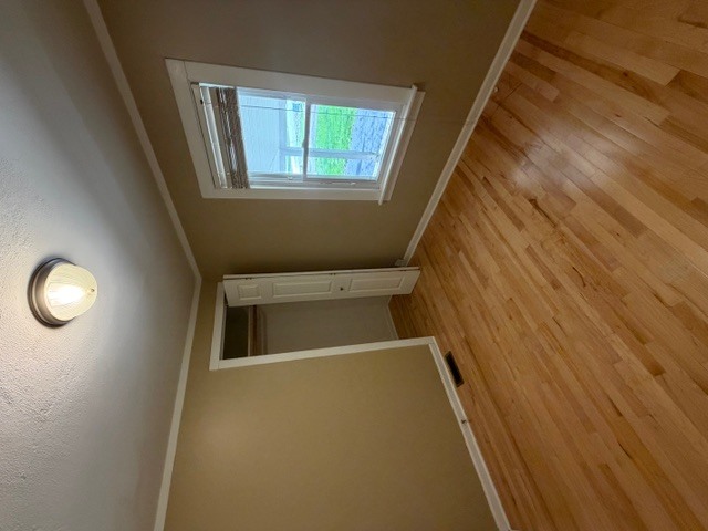 5938 Dunham Road Downers Grove, IL 60516 - Photo 10 of 15