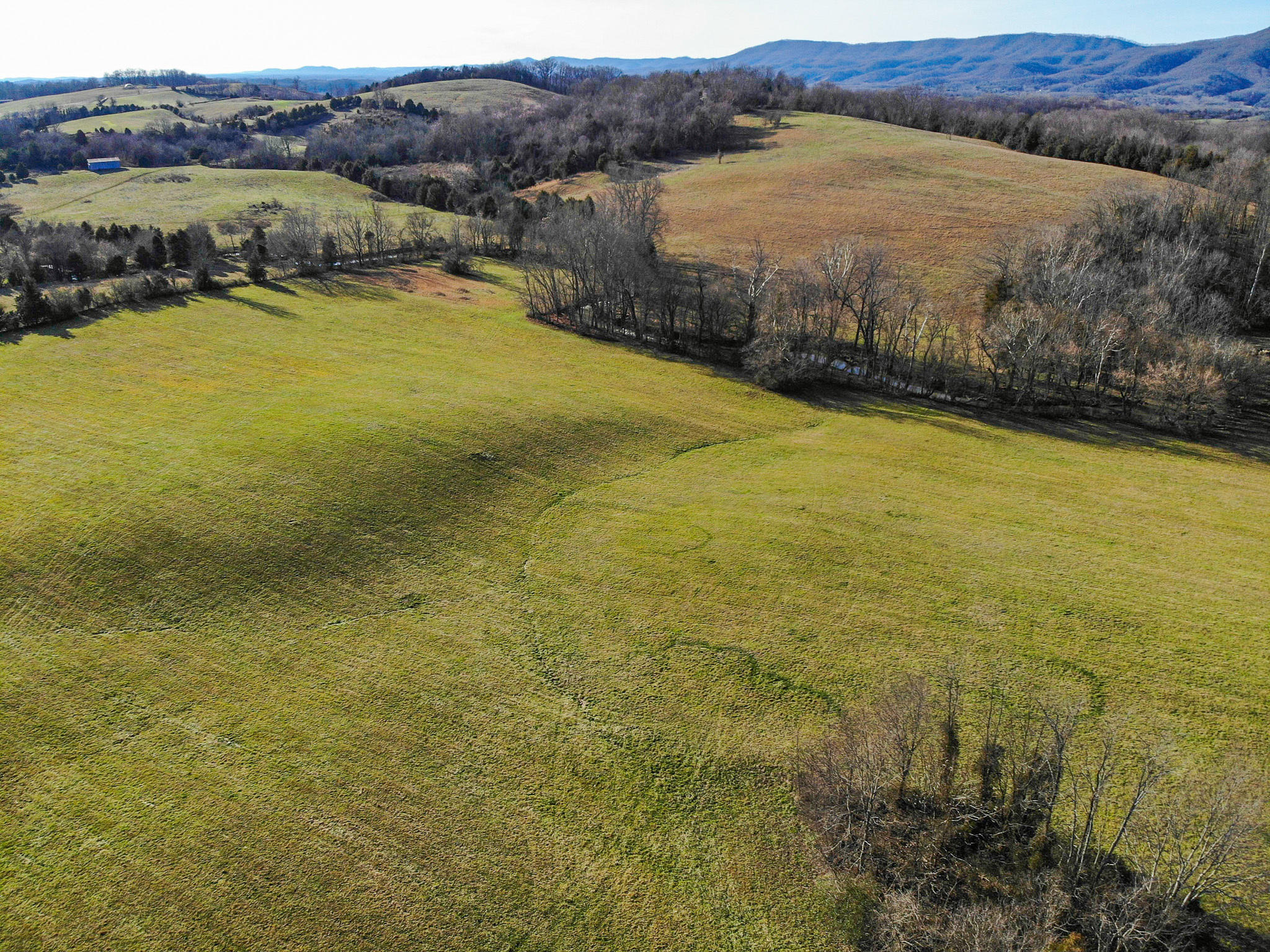 0 Jearoldstown Road Chuckey, TN 37641 - Photo 3 of 28 Photo Jan 16, 3 20 49 PM