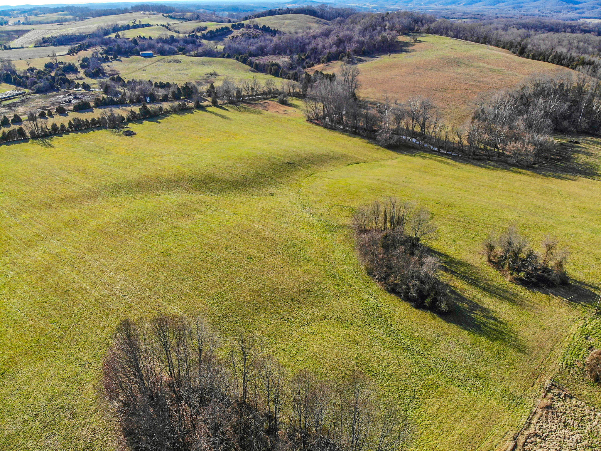 0 Jearoldstown Road Chuckey, TN 37641 - Photo 7 of 28 Photo Jan 16, 3 25 41 PM