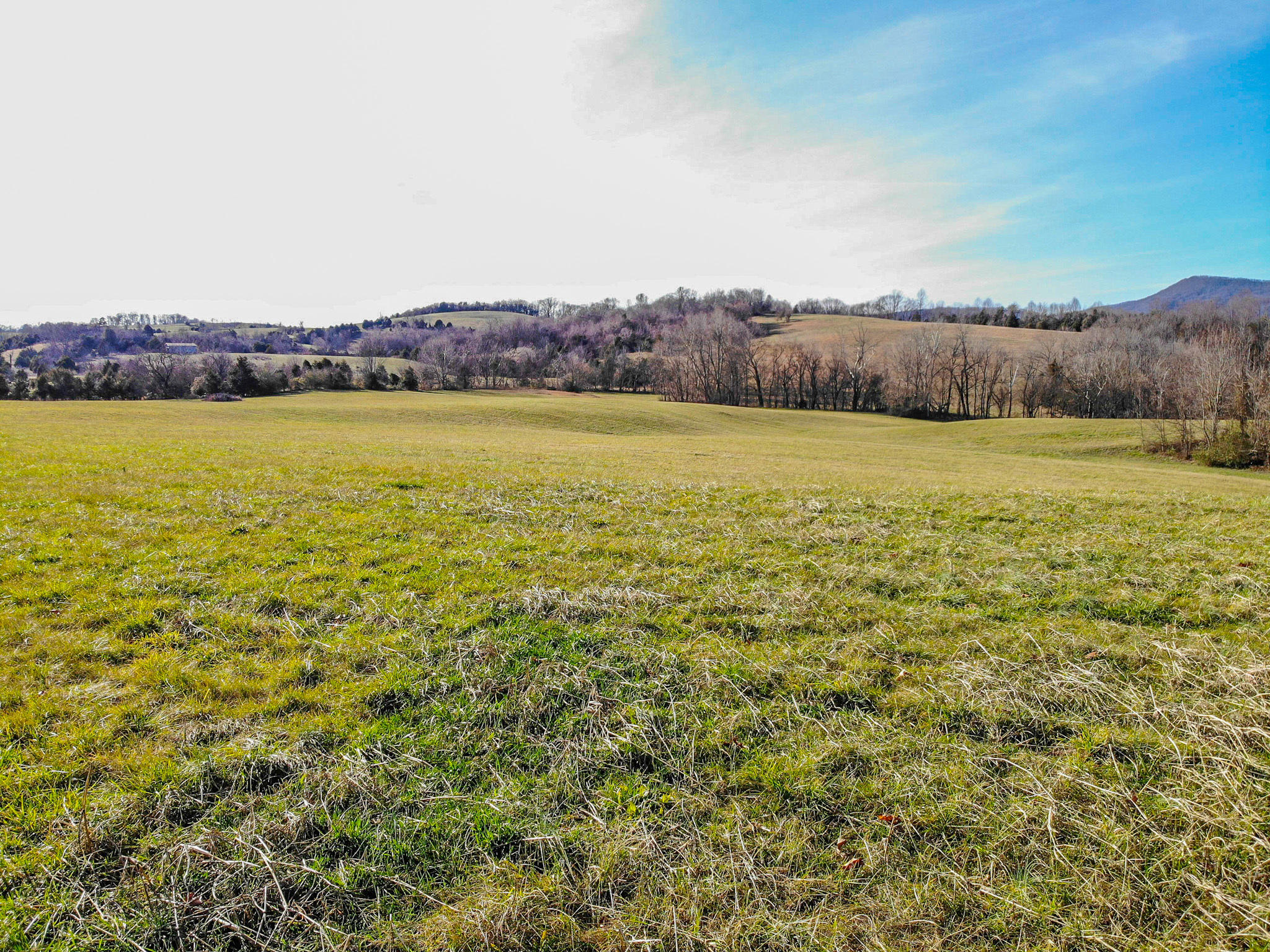 0 Jearoldstown Road Chuckey, TN 37641 - Photo 8 of 28 Photo Jan 16, 3 26 28 PM
