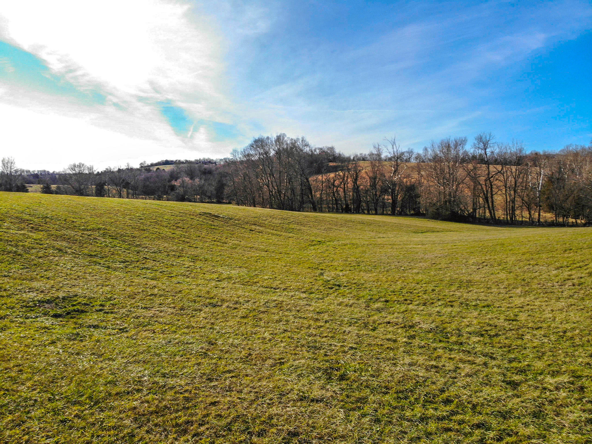 0 Jearoldstown Road Chuckey, TN 37641 - Photo 10 of 28 Photo Jan 16, 3 27 14 PM