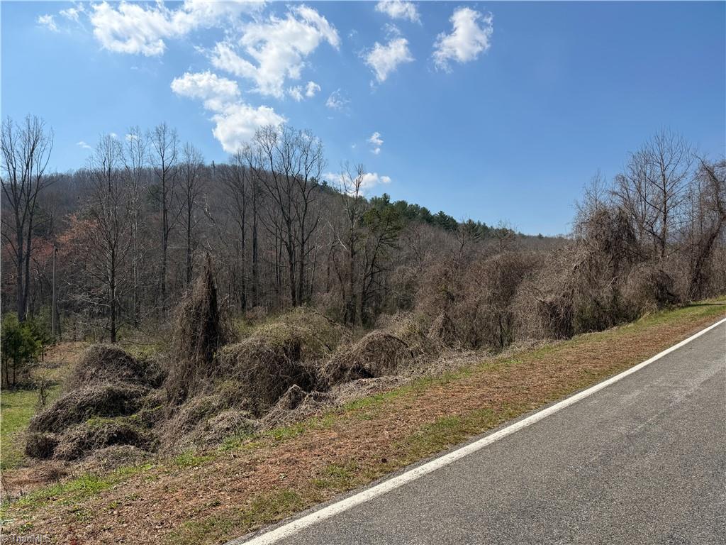 Tbd Old Mill Road Lowgap, NC 27024 - Photo 1 of 32
