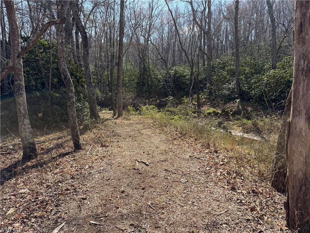 Tbd Old Mill Road Lowgap, NC 27024 - Photo 11 of 32