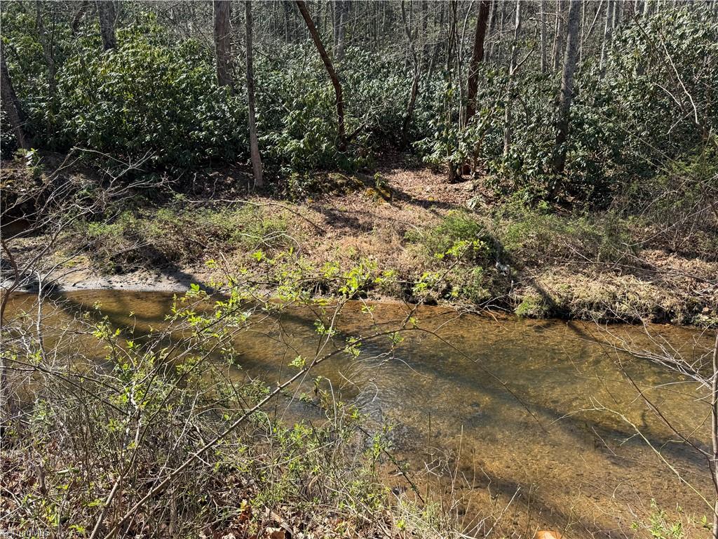 Tbd Old Mill Road Lowgap, NC 27024 - Photo 15 of 32
