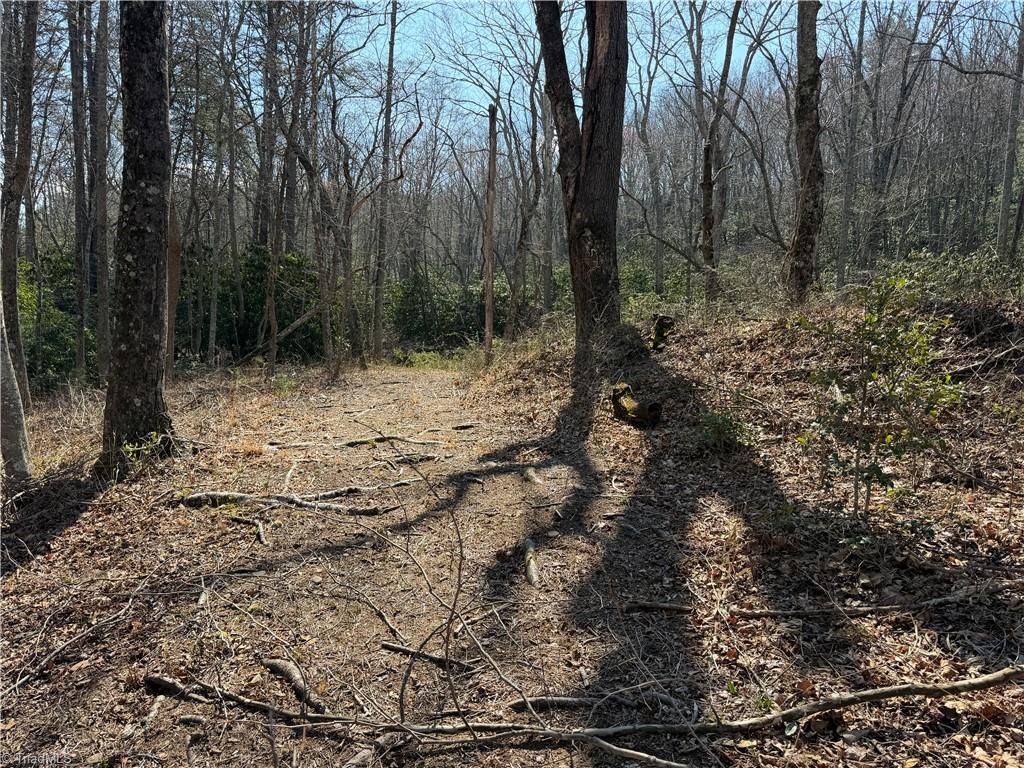 Tbd Old Mill Road Lowgap, NC 27024 - Photo 20 of 32