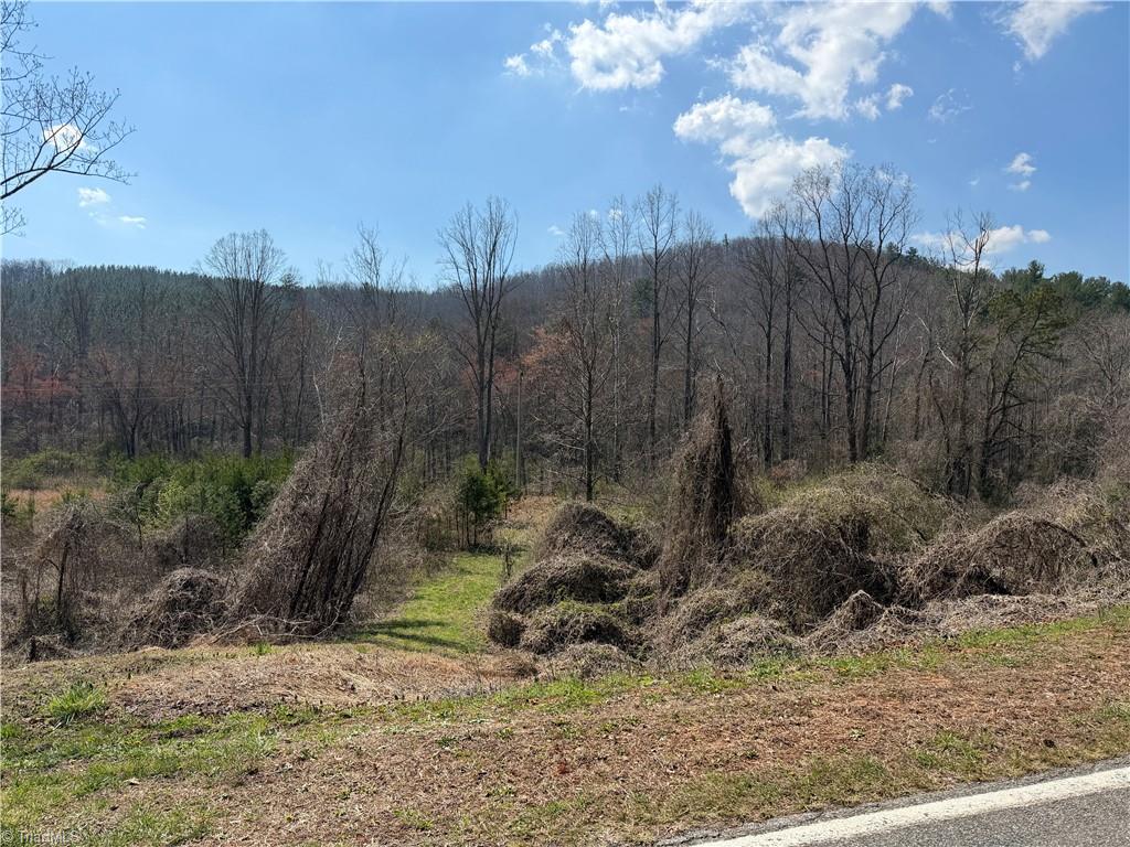 Tbd Old Mill Road Lowgap, NC 27024 - Photo 2 of 32
