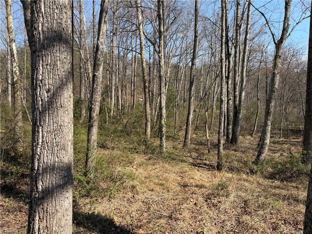 Tbd Old Mill Road Lowgap, NC 27024 - Photo 21 of 32