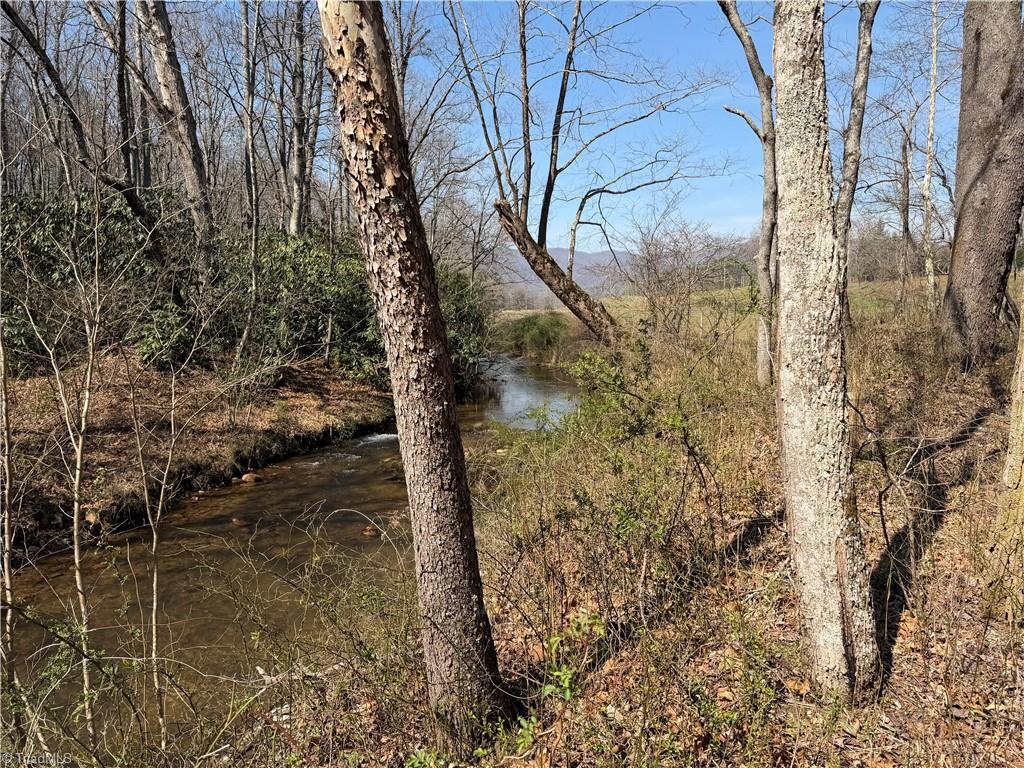 Tbd Old Mill Road Lowgap, NC 27024 - Photo 22 of 32
