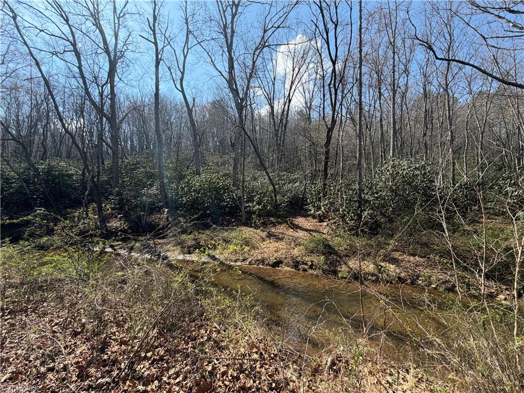 Tbd Old Mill Road Lowgap, NC 27024 - Photo 23 of 32