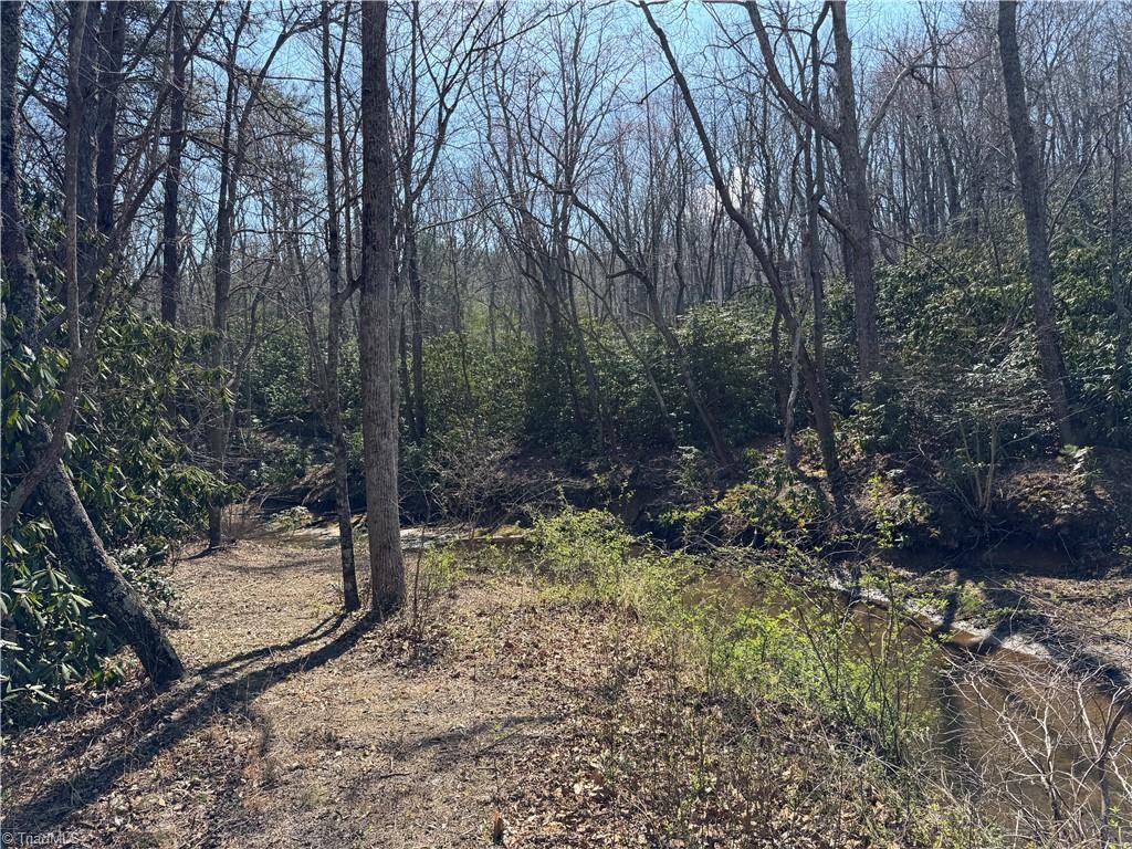 Tbd Old Mill Road Lowgap, NC 27024 - Photo 24 of 32