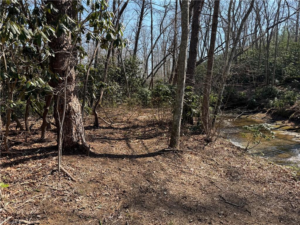 Tbd Old Mill Road Lowgap, NC 27024 - Photo 25 of 32