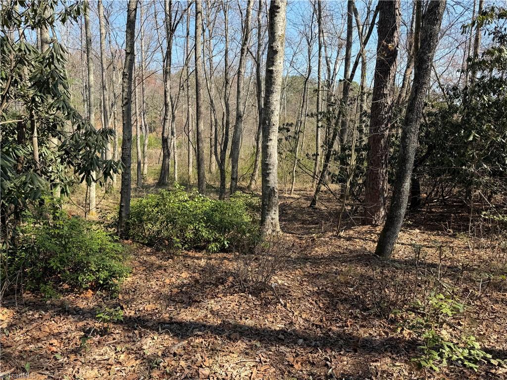 Tbd Old Mill Road Lowgap, NC 27024 - Photo 26 of 32