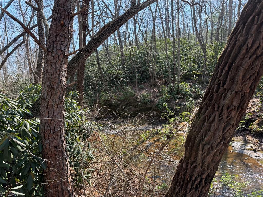 Tbd Old Mill Road Lowgap, NC 27024 - Photo 27 of 32