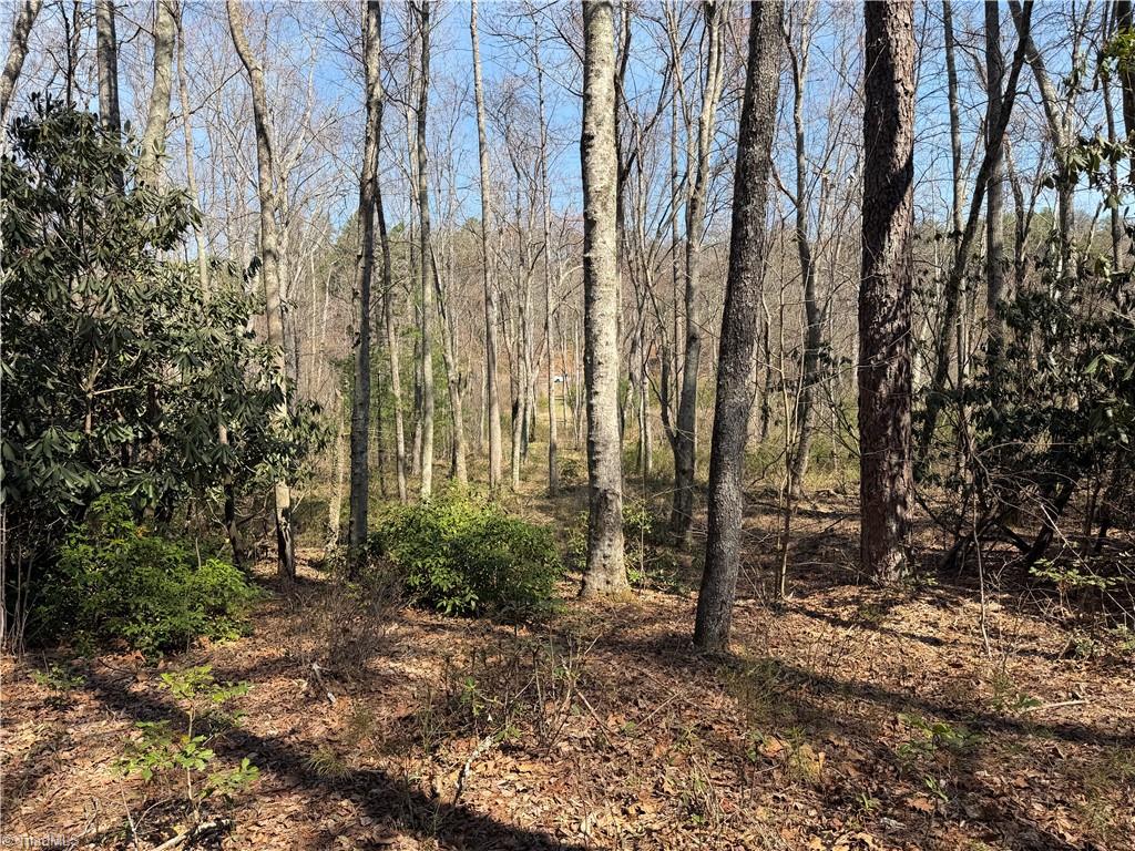 Tbd Old Mill Road Lowgap, NC 27024 - Photo 28 of 32