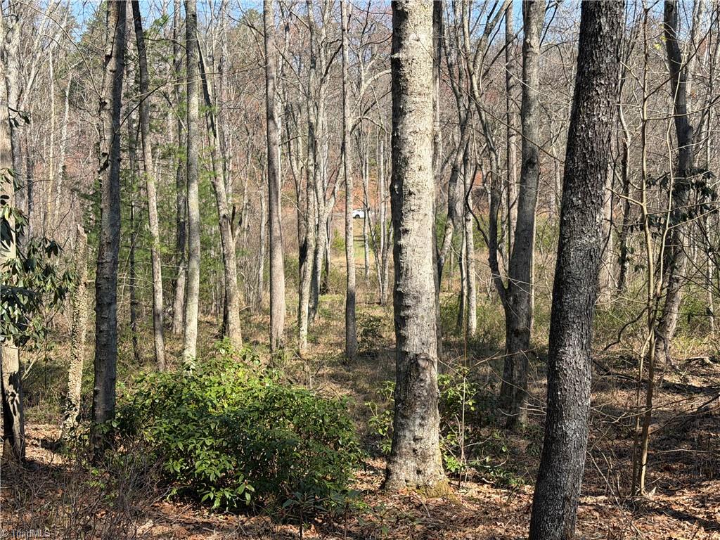 Tbd Old Mill Road Lowgap, NC 27024 - Photo 29 of 32