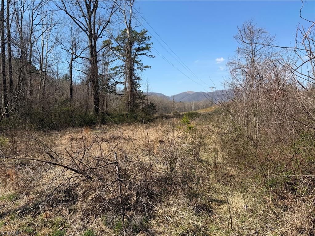 Tbd Old Mill Road Lowgap, NC 27024 - Photo 3 of 32