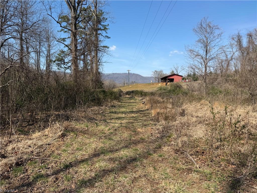 Tbd Old Mill Road Lowgap, NC 27024 - Photo 4 of 32