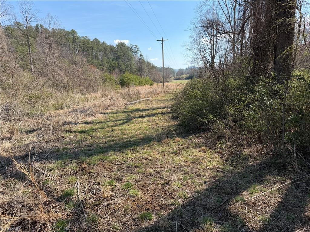 Tbd Old Mill Road Lowgap, NC 27024 - Photo 5 of 32