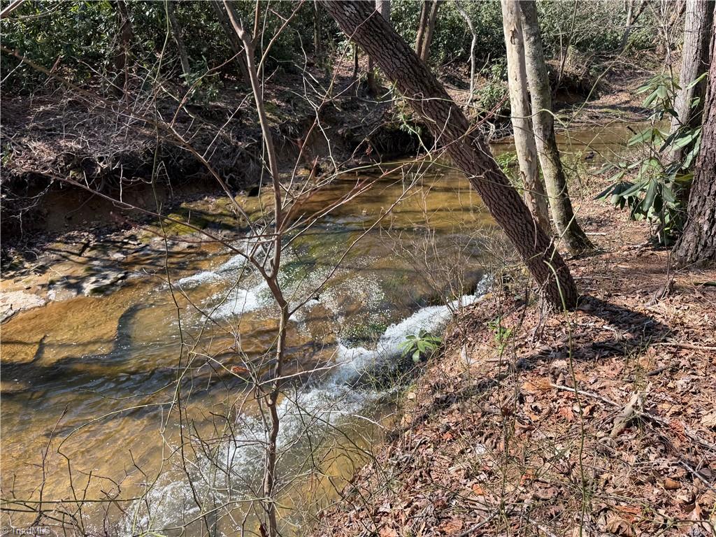 Tbd Old Mill Road Lowgap, NC 27024 - Photo 8 of 32