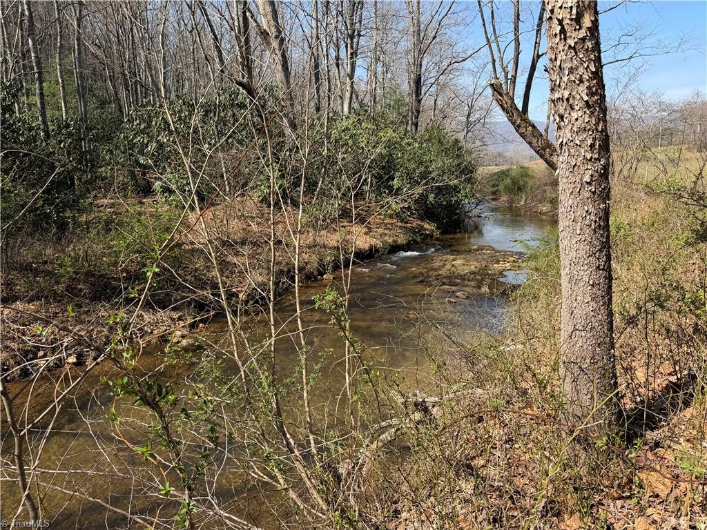 Tbd Old Mill Road Lowgap, NC 27024 - Photo 9 of 32