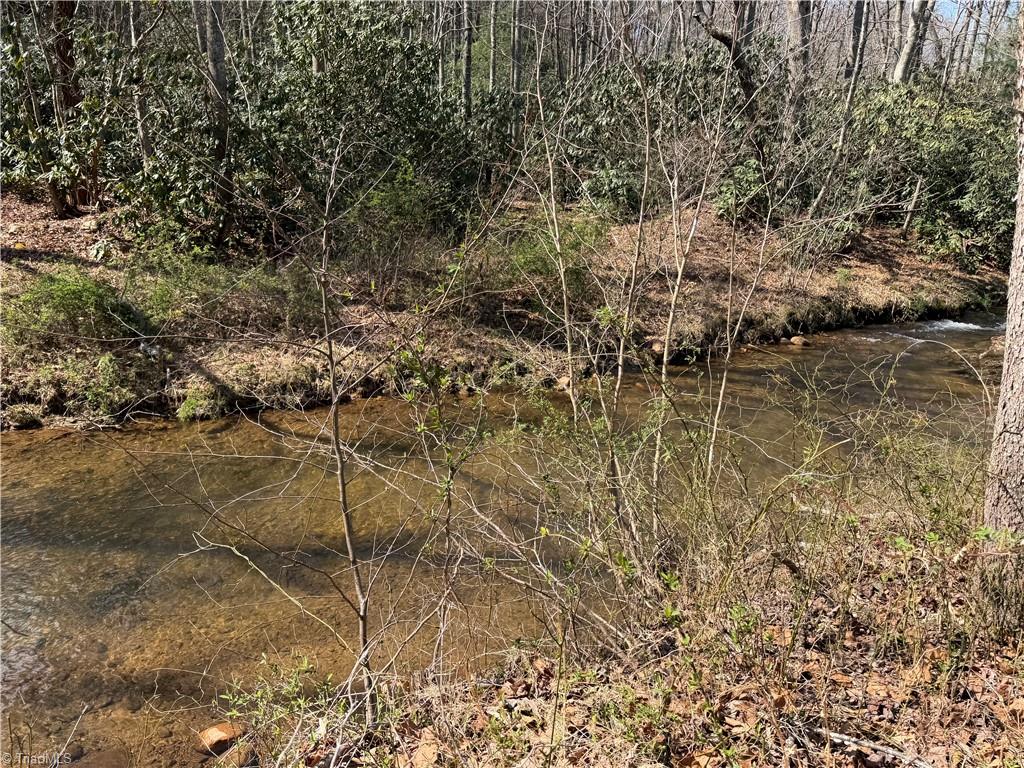Tbd Old Mill Road Lowgap, NC 27024 - Photo 10 of 32