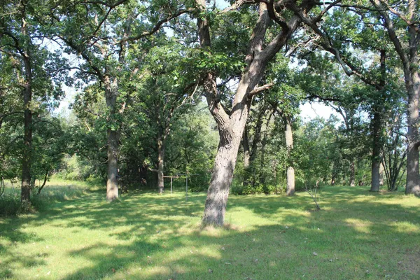 $297,500 | 2840 265th Avenue, St. Croix Falls, WI 54024