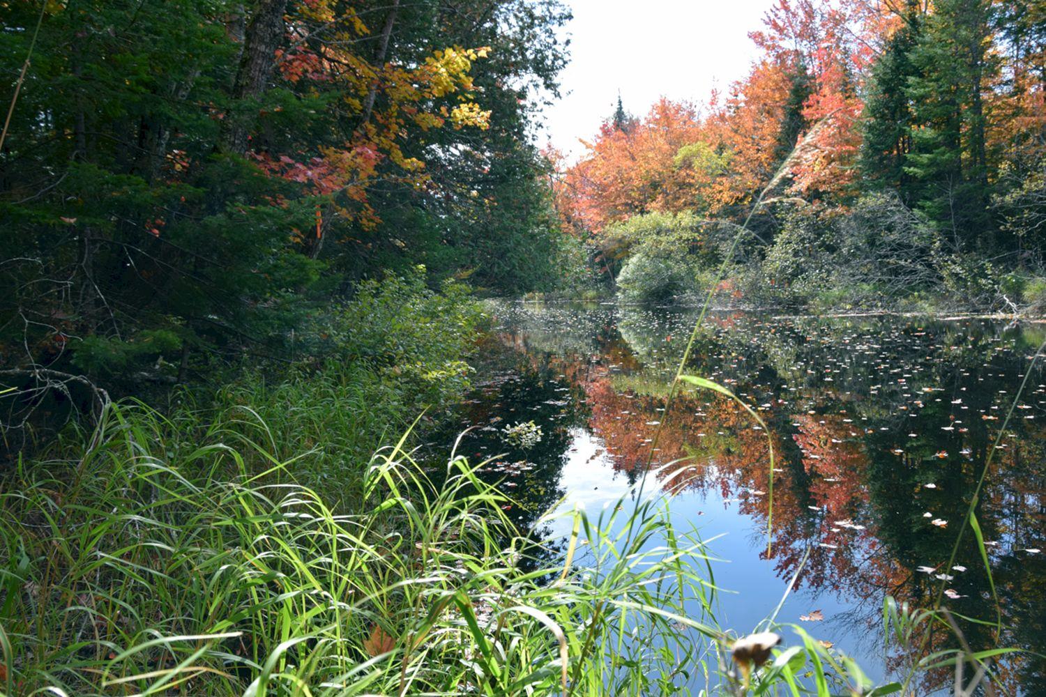 1a Halls Bridge Road Canaan, ME 04924 - Photo 23 of 44 DSC_0006 a