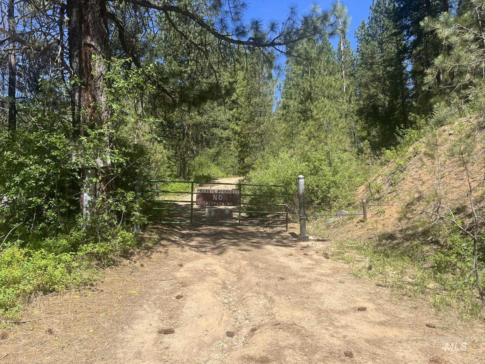 39 Mayflower Mine Road Placerville, ID 83666 - Photo 13 of 36 Gated dirt road entry framed by mature evergreen trees and dense foliage, offering a private setting
