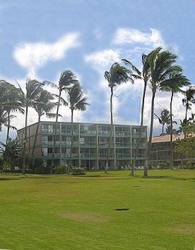 998 South Kihei Road, Unit 205 Kihei, HI 96753 - Photo 11 of 12 a view of a swimming pool with a yard and palm trees