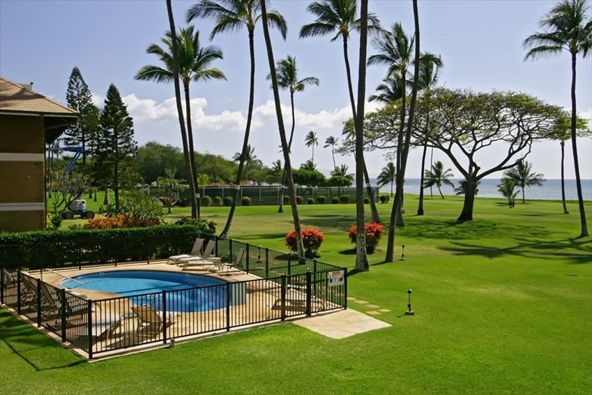 998 South Kihei Road, Unit 205 Kihei, HI 96753 - Photo 8 of 12 a view of a park with plants and palm trees
