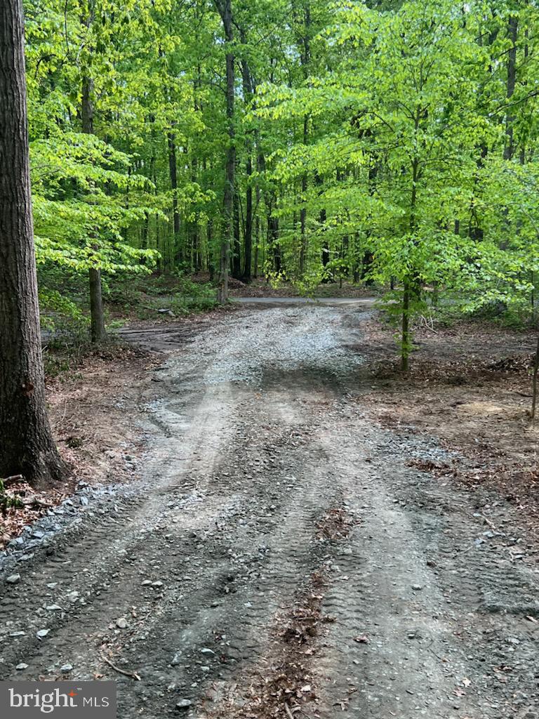 1 Richards Ferry Road Richardsville, VA 22736 - Photo 2 of 9