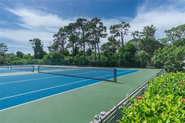 a view of a street with a tree