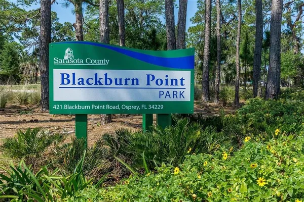 a view of a lake with a palm tree