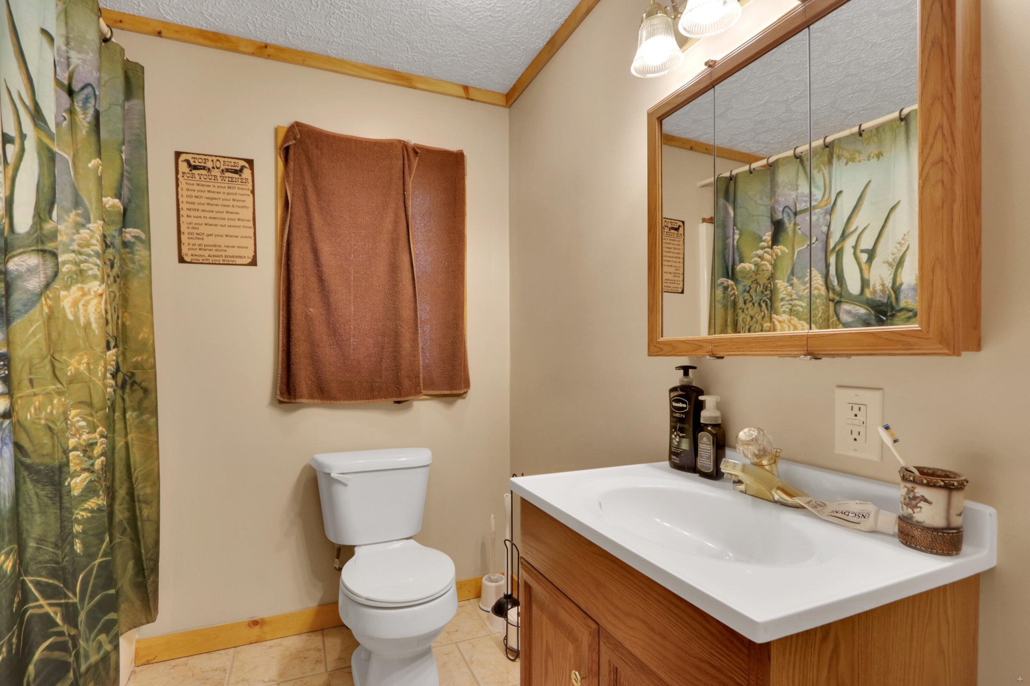 2730 Goose Gap Road Sevierville, TN 37876 - Photo 20 of 25