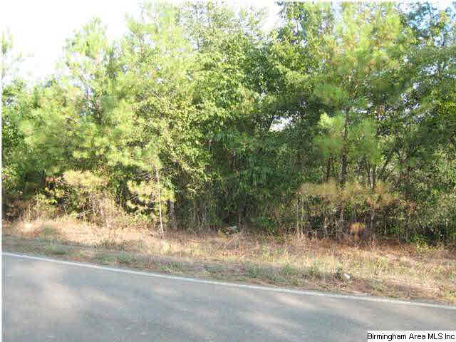 Howell Cove Road Talladega, AL 35160 - Photo 6 of 9