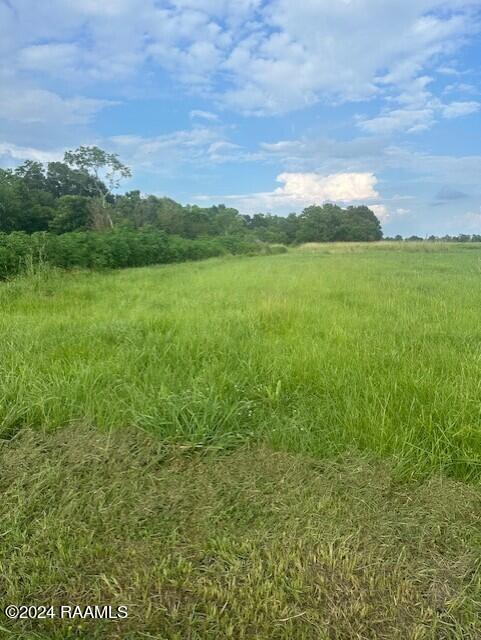 2707 Riceland Road Rayne, LA 70578 - Photo 4 of 9