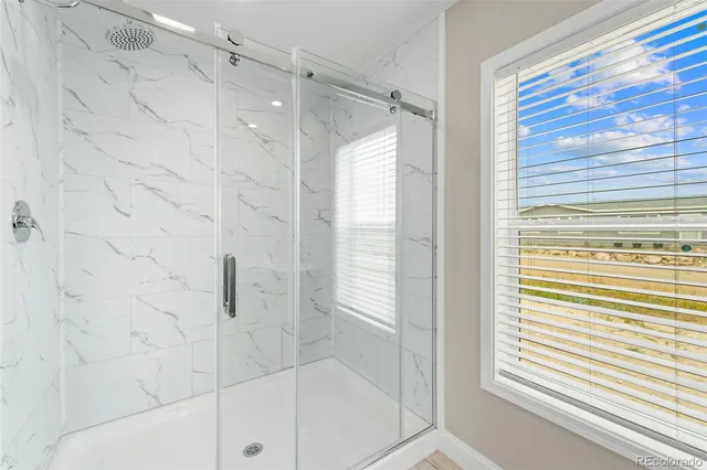 a bathroom with a shower and a window