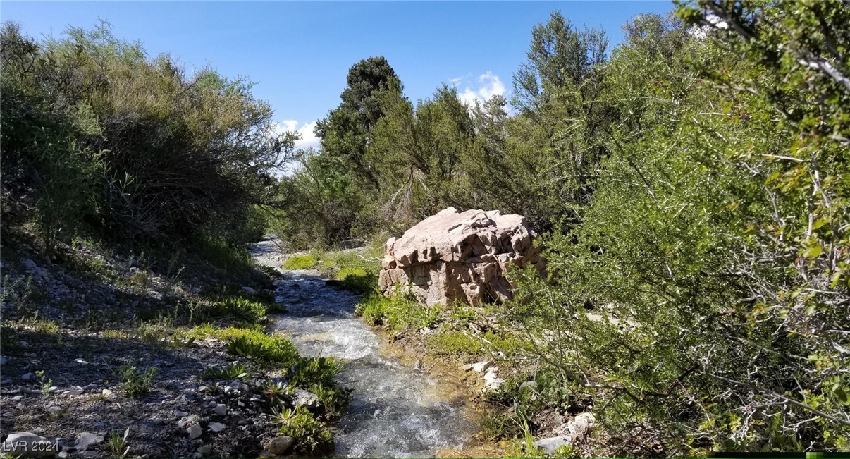 0 Crocket Las Vegas, NV 89124 - Photo 1 of 11 Year-Round Running Creek