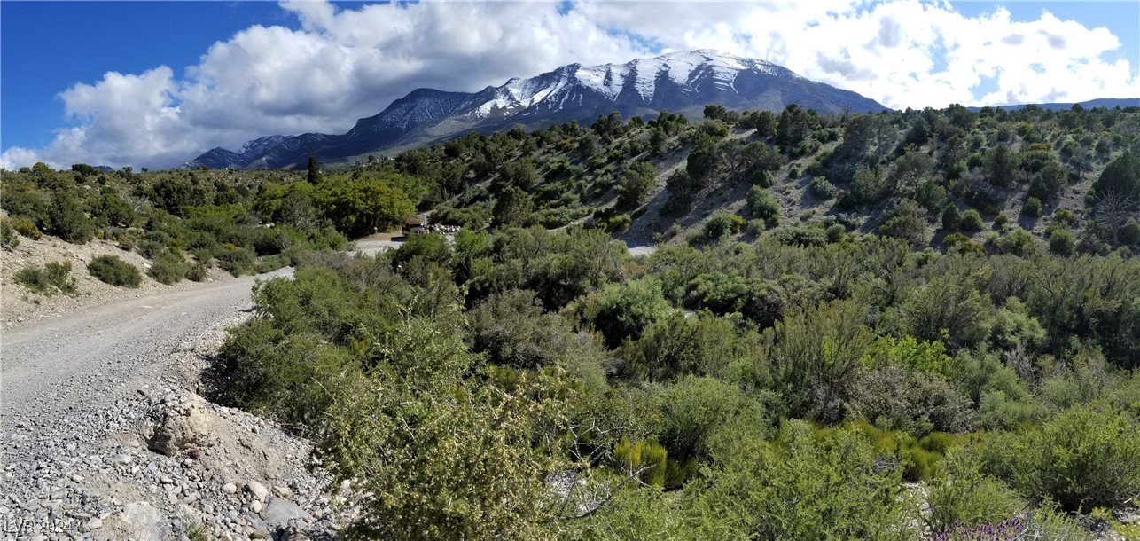 0 Crocket Las Vegas, NV 89124 - Photo 6 of 11 Northeast Corner Looking Toward the Southwest.