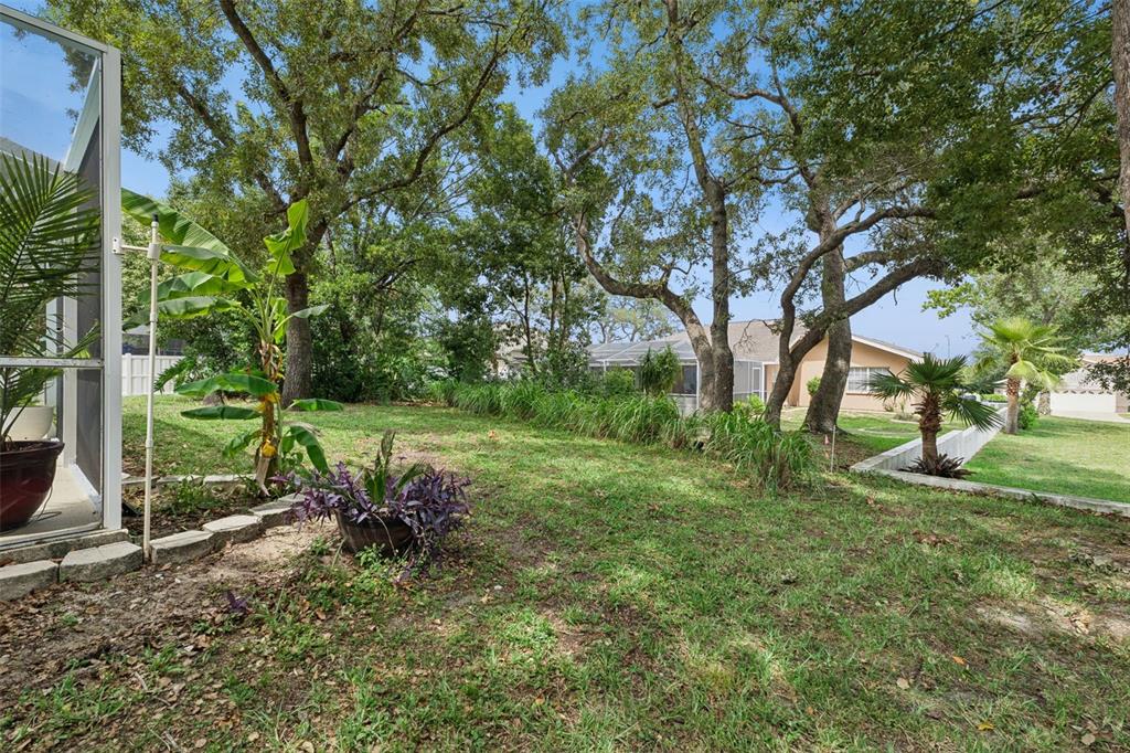 1236 Lansing Drive Spring Hill, FL 34608 - Photo 46 of 65