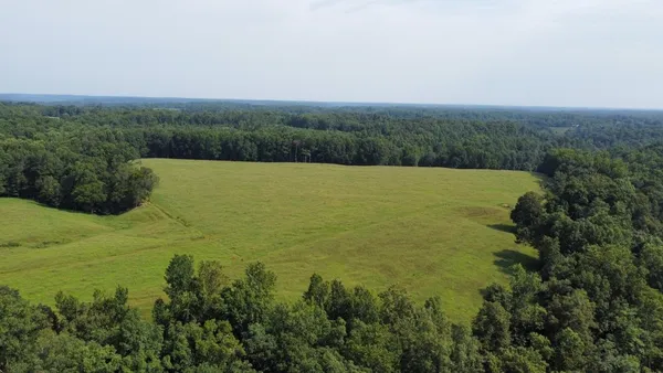 a view of a field with an ocean