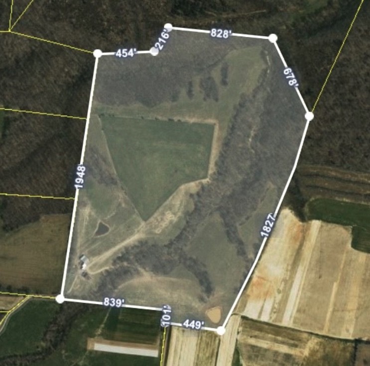 0 Neal Road Belvidere, TN 37306 - Photo 12 of 58 a bird sitting on top of a bath tub