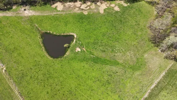a view of a green yard