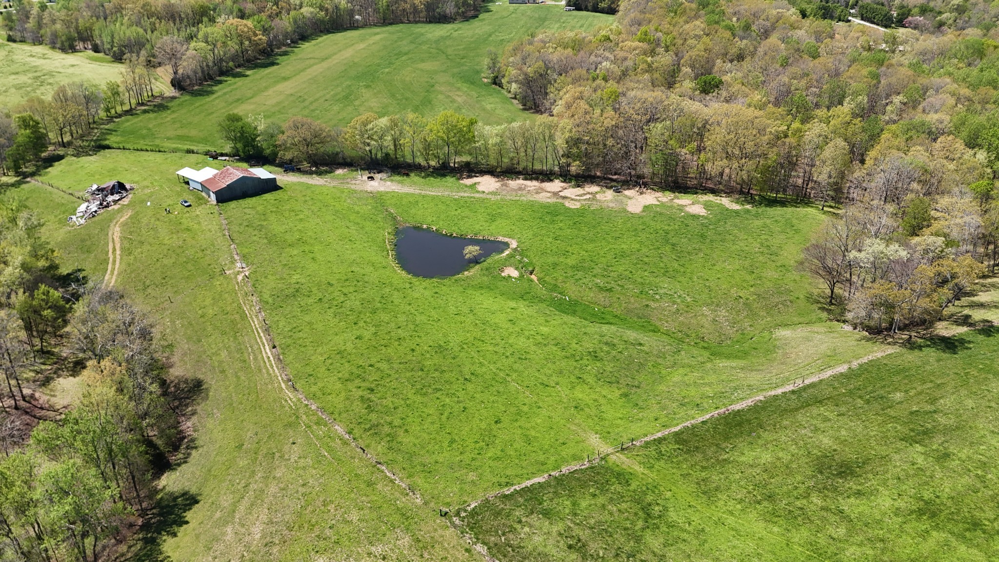 0 Neal Road Belvidere, TN 37306 - Photo 17 of 58 a view of a green yard
