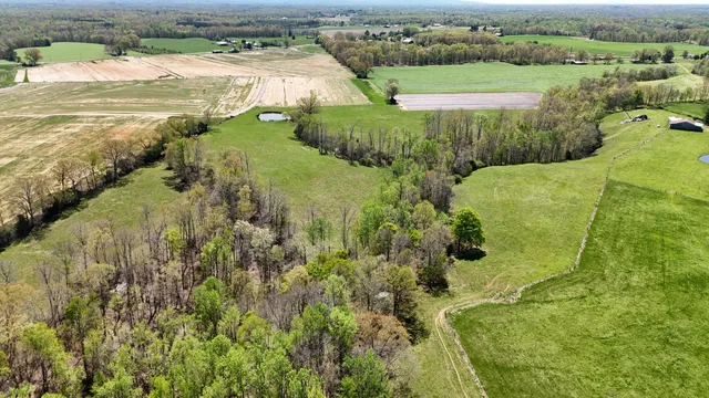 a view of a golf course with a yard
